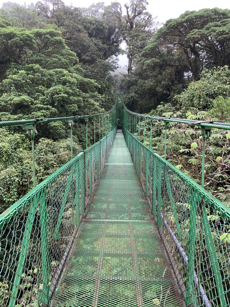 Selvatura Park hanging bridges