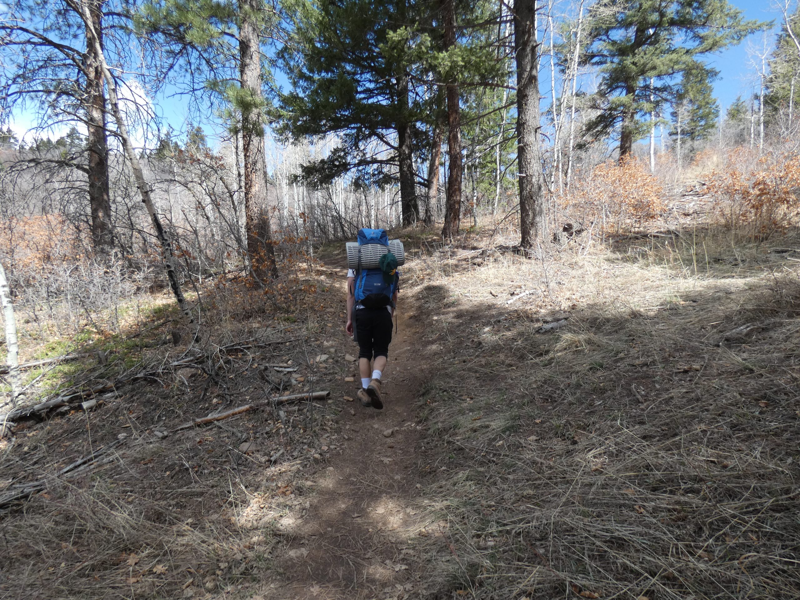 Hayden on Ringtail Trail - Indian Creek Trail
