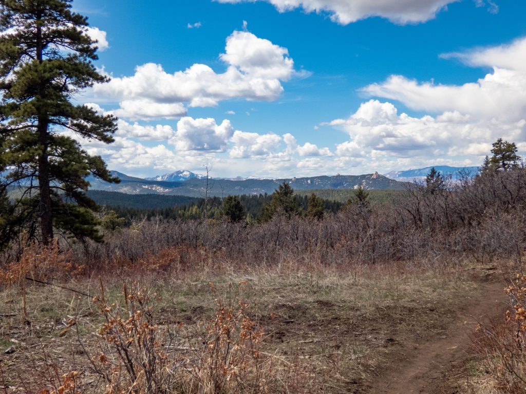 View at intersection of Ringtail and Fire Road - Indian Creek Trail