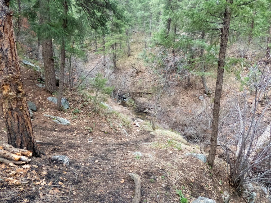 Bear Creek near campsite - Indian Creek Trail