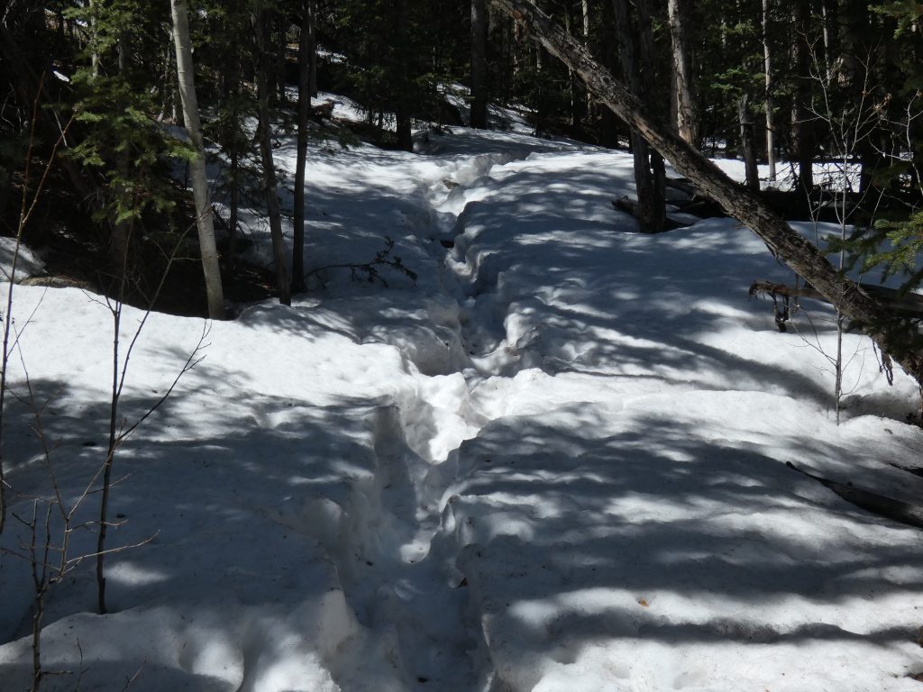 Easier section with snow on the trail - Lost Creek Wilderness