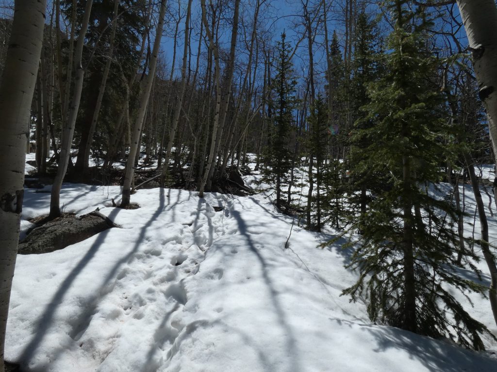 Easier section with snow on the trail