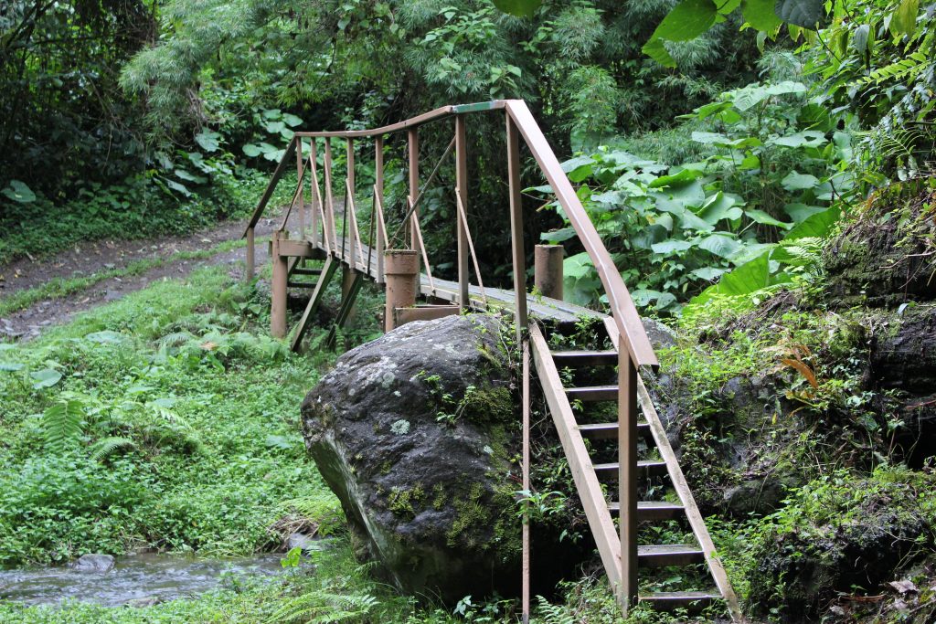Bridge for crossing the stream