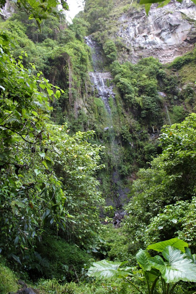 Waterfall near end of hike
