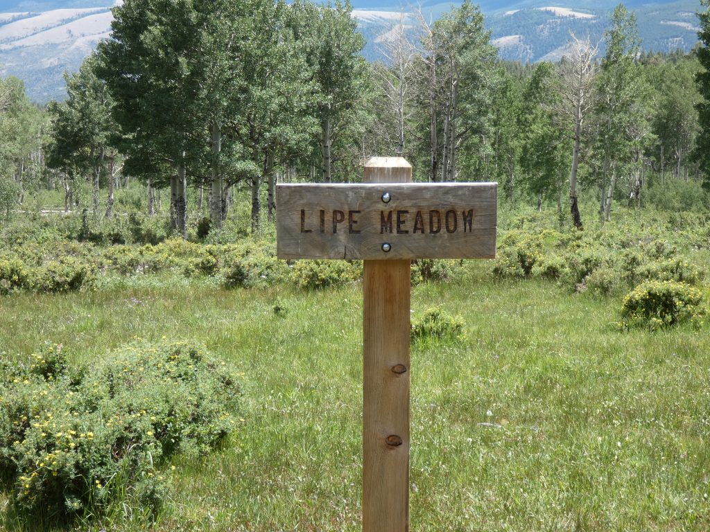 In case you needed to know this is Lipe Meadow