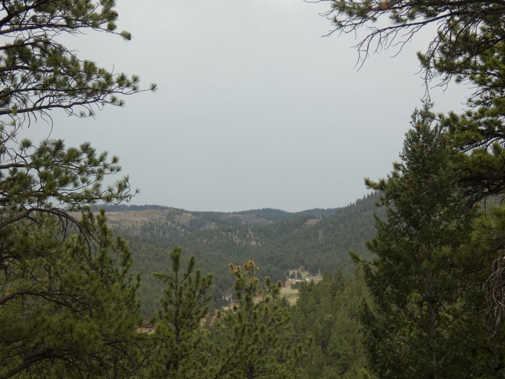 Typical views for this area, very similar to the Deckers and Pike NF area southwest of Denver