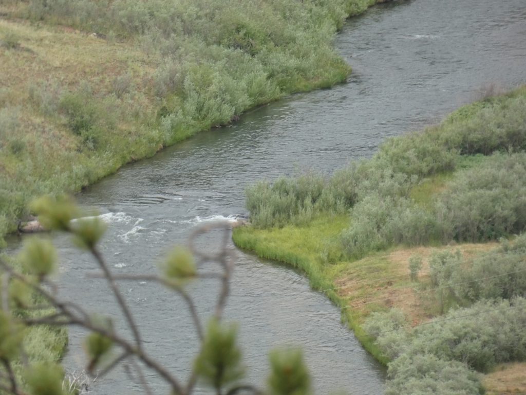The South Platte River is a pretty river in Colorado!