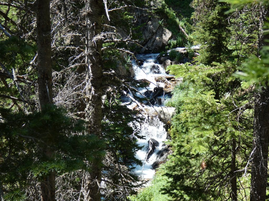 Small falls along the Rawah Trail