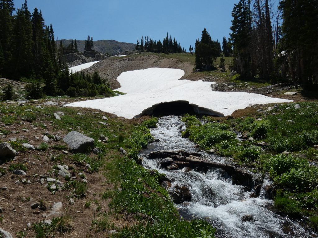Stream flow from Twin Crater Lakes sneaking under the snow field