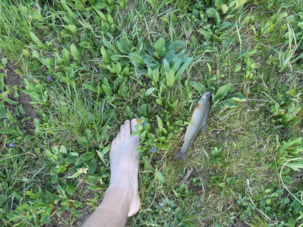 Small trout and an ugly foot