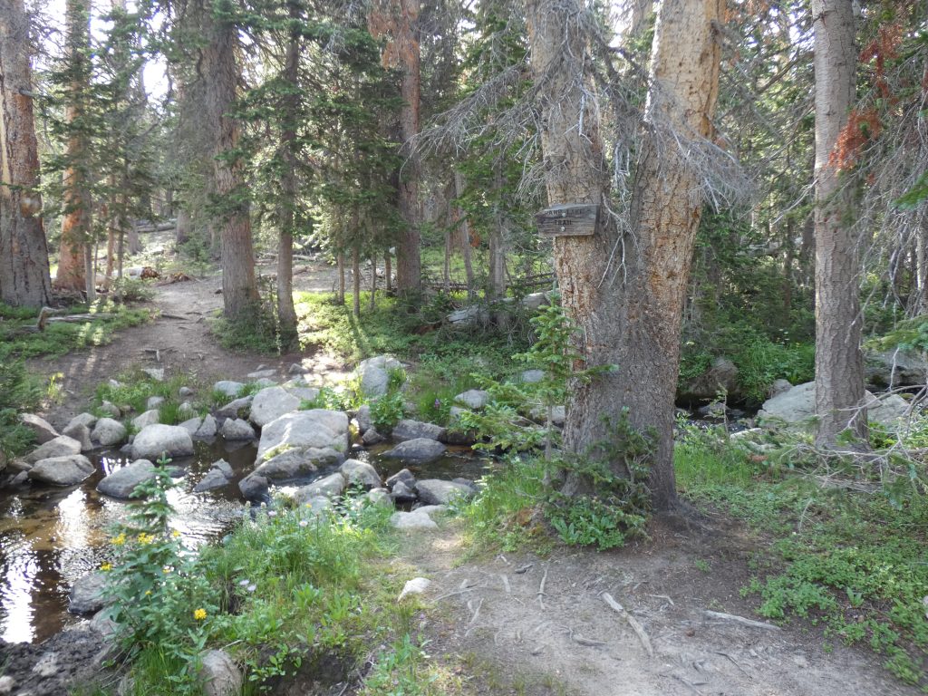 Camp Lake trail makes a turn to cross the creek