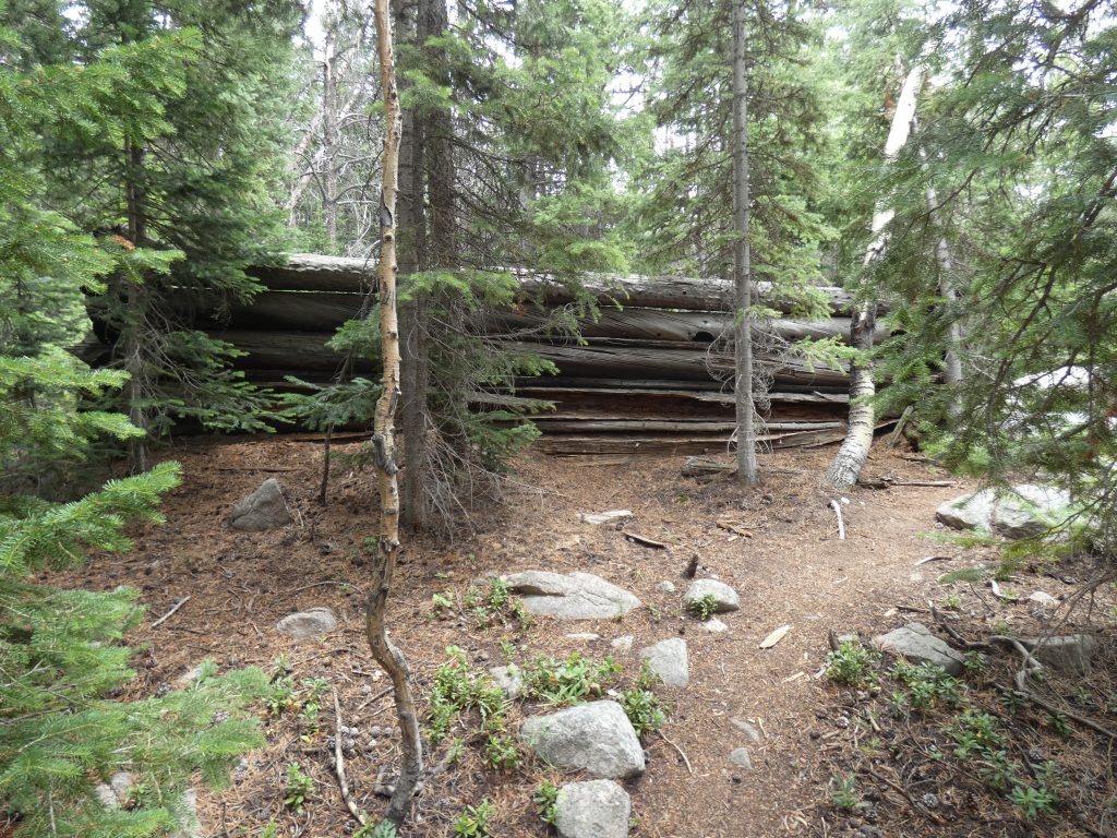 Random cabin remains off Camp Lake Trail