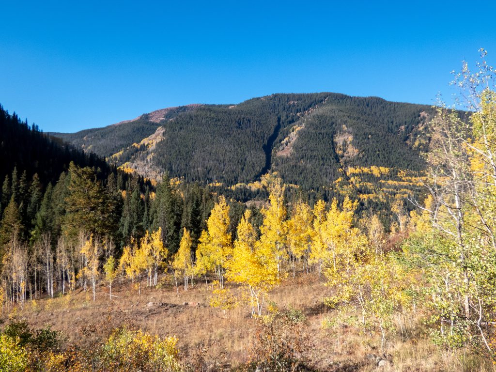 September Fall colors in the Vail Valley
