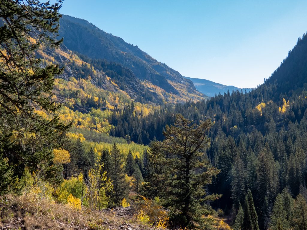 Fall colors in the Gore Range