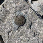 USGS Marker - Mt. Lincoln