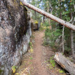 Initial section of Upper Cataract Trail