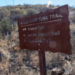 Intersection with Elephant Tusk trail